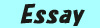 Essay